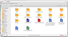This is what your NextCloud would look like in your desktop filemanager (this is the Nemo filemanager on a Linux desktop)