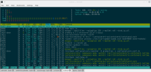 A snapshot of an SSH session on about.oerfoundation.org, located in San Francisco, CA, USA, and its performance stats as viewed from Christchurch, New Zealand. 
