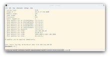 A default VPS login screen. Note, colours and fonts and sizes of things are likely to vary. 